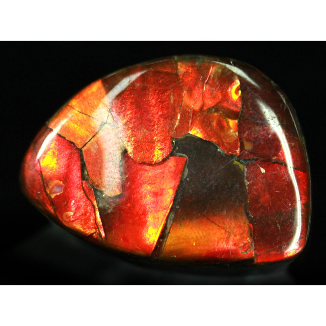 宝石ルース アンモライト 化石 Ammolite /約4.8g/1個 カナダ産