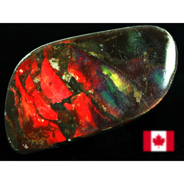 宝石ルース アンモライト 化石 Ammolite /約5.9g/1個 カナダ産