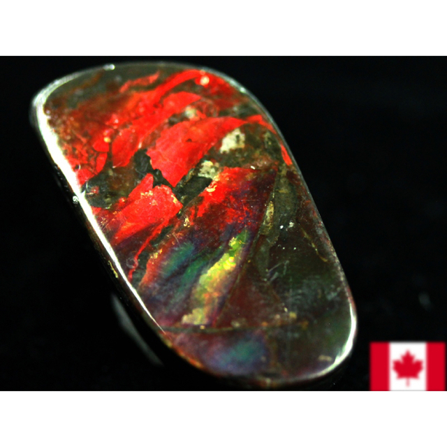 30⭐️ カナダ産　アンモライトルース　幅約2.5cm 化石　原石
