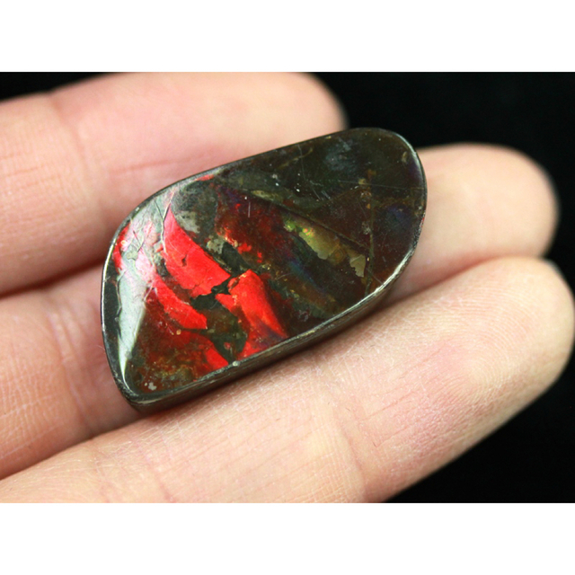 宝石ルース アンモライト 化石 Ammolite /約9.8g/1個 カナダ産