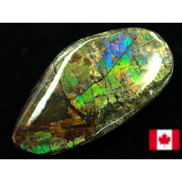 宝石ルース アンモライト 化石 Ammolite /約7g/1個 カナダ産