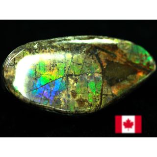 宝石ルース アンモライト 化石 Ammolite /約5.9g/1個 カナダ産