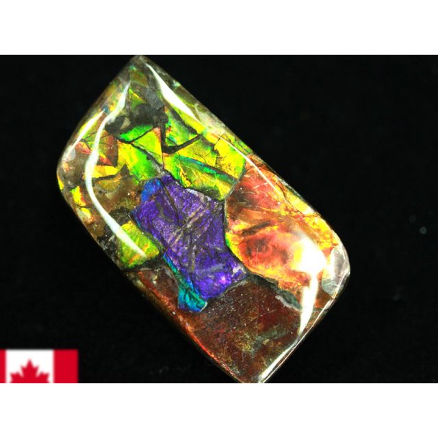 宝石ルース アンモライト 化石 Ammolite /約9.8g/1個 カナダ産
