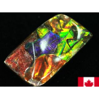 宝石ルース アンモライト 化石 Ammolite /約9.8g/1個 カナダ産