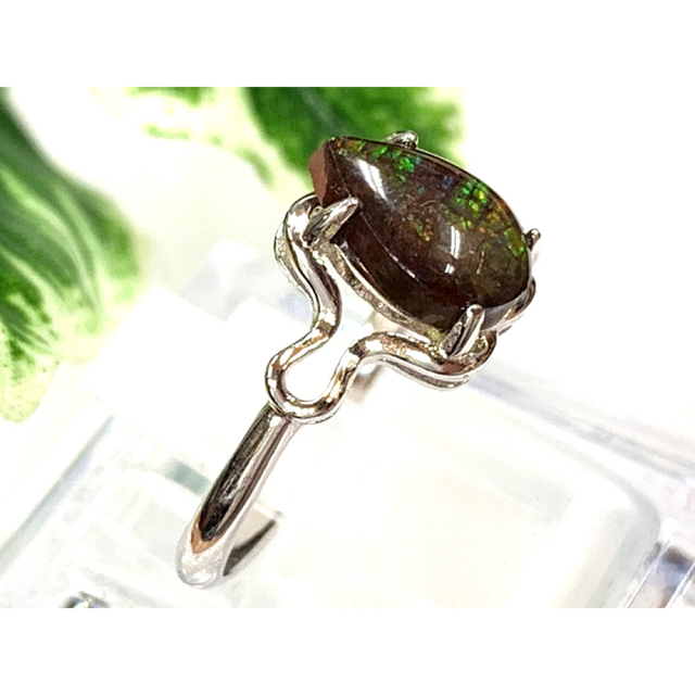 天然石指輪 アンモライト Ammolite リング/1個  sv925