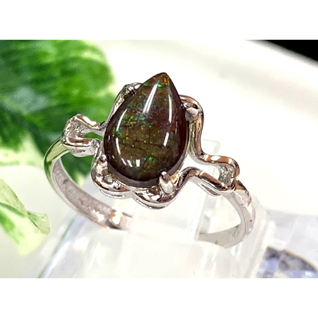 天然石指輪 アンモライト Ammolite リング/1個  sv925