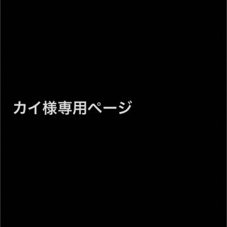 カイ様専用ページ　Liquem イヤリング(イヤリング)