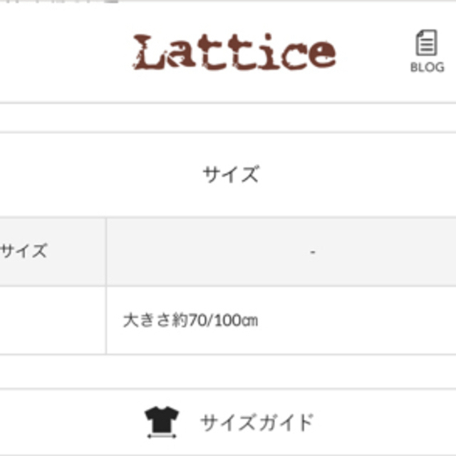 Lattice(ラティス)の【完売・大人気】Lattice ラティス マルチカバー　 レディースのファッション小物(その他)の商品写真