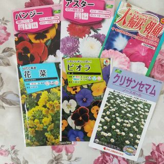 お花の種セット(プランター)