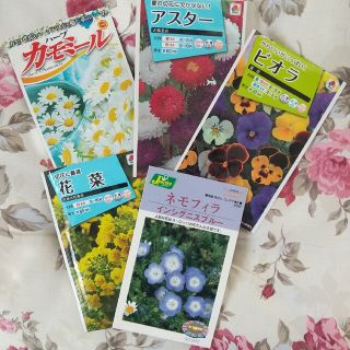 お花の種セット(その他)