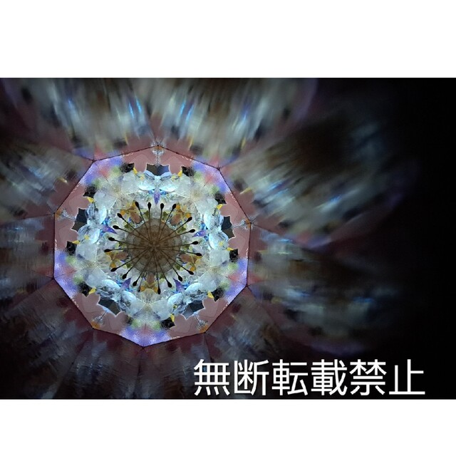 鈴木明子 オイル万華鏡 桜 高質で安価 axishcl.com