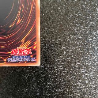 遊戯王 真紅眼の黒竜 ホログラフィックレア レッドアイズブラック