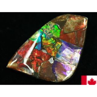 宝石ルース アンモライト 化石 Ammolite /約4.8g/1個 カナダ産 - 各種