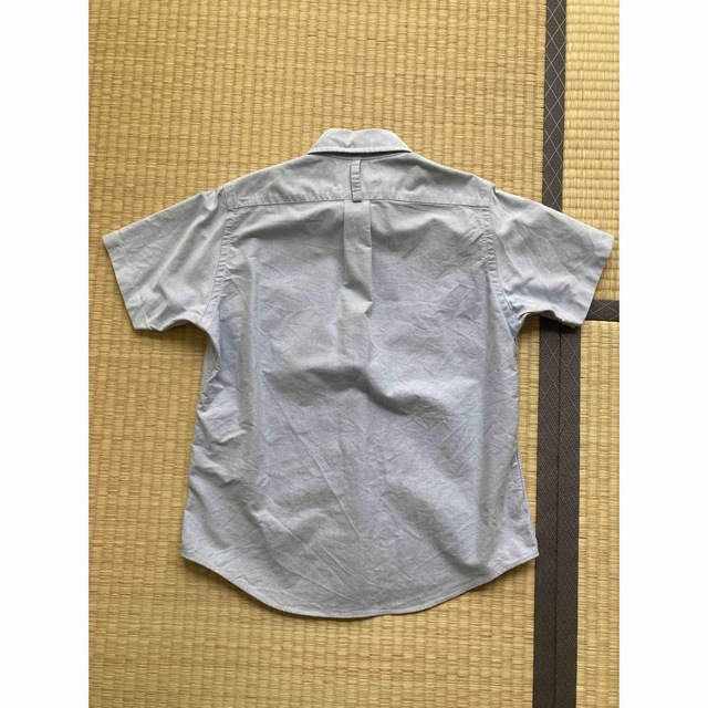 モリカゲシャツ くるみボタン 半袖 SS レディース 水色 ライトブルー レディースのトップス(シャツ/ブラウス(半袖/袖なし))の商品写真