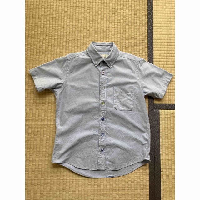 モリカゲシャツ くるみボタン 半袖 SS レディース 水色 ライトブルー レディースのトップス(シャツ/ブラウス(半袖/袖なし))の商品写真