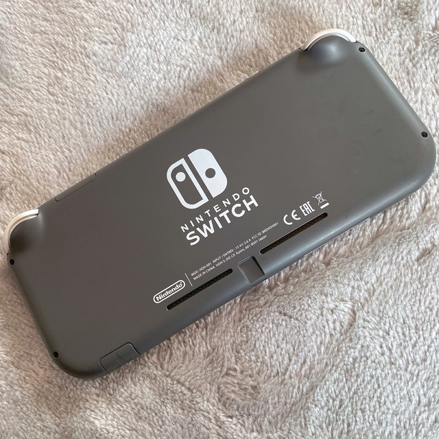 Nintendo Switch Liteグレー 5