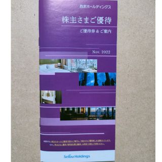 サイタマセイブライオンズ(埼玉西武ライオンズ)の「西武HD株主優待券セット」(レストラン/食事券)