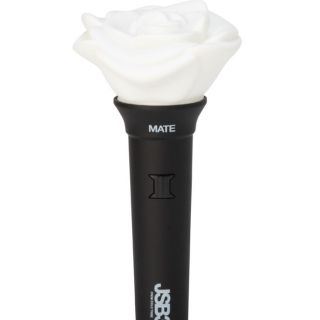 サンダイメジェイソウルブラザーズ(三代目 J Soul Brothers)のJSB3 Official "MATE" Light Stick ペンライト(アイドルグッズ)