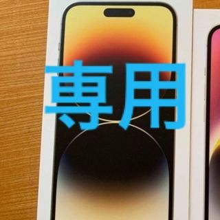 アイフォーン(iPhone)のiPhone14 ProMax 空箱(その他)