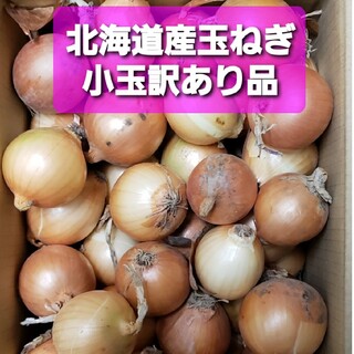 北海道産　玉ねぎ　訳あり品　２S(ＳＳ)サイズ小玉　約１０キロ(野菜)