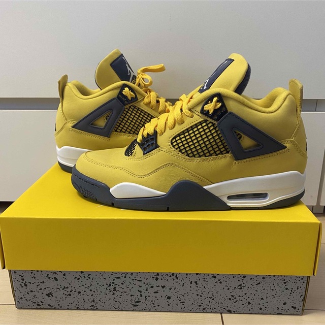 NIKE AIR JORDAN 4 ライトニング 27cm