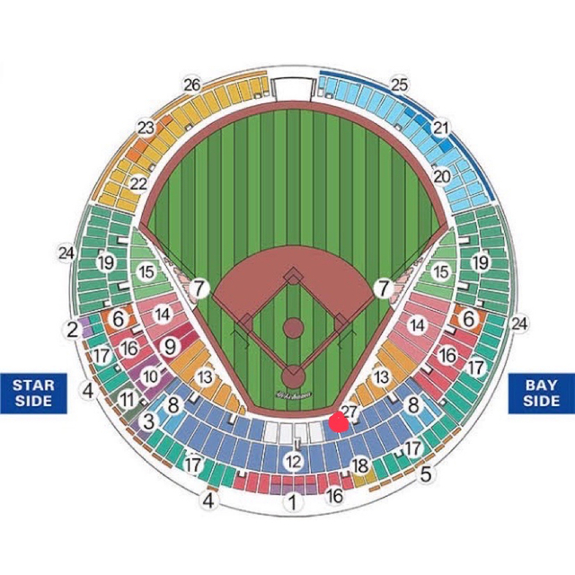 横浜DeNAベイスターズvs阪神タイガースバックネット裏内野SS指定席