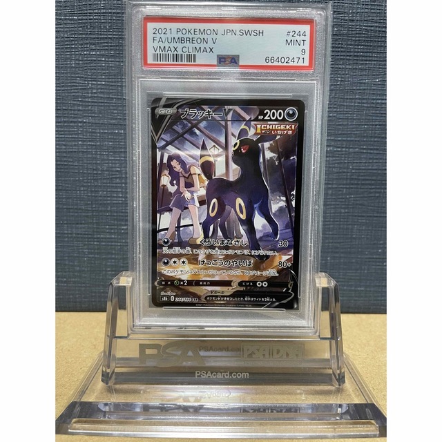 【鑑定品】PSA9 ブラッキーV 244 CSR クライマックス　ポケモン