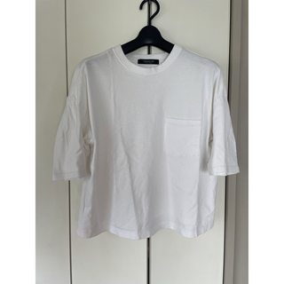 オオシマレイ Tシャツ(レディース/半袖)の通販 9点 | OSHIMA REIの 