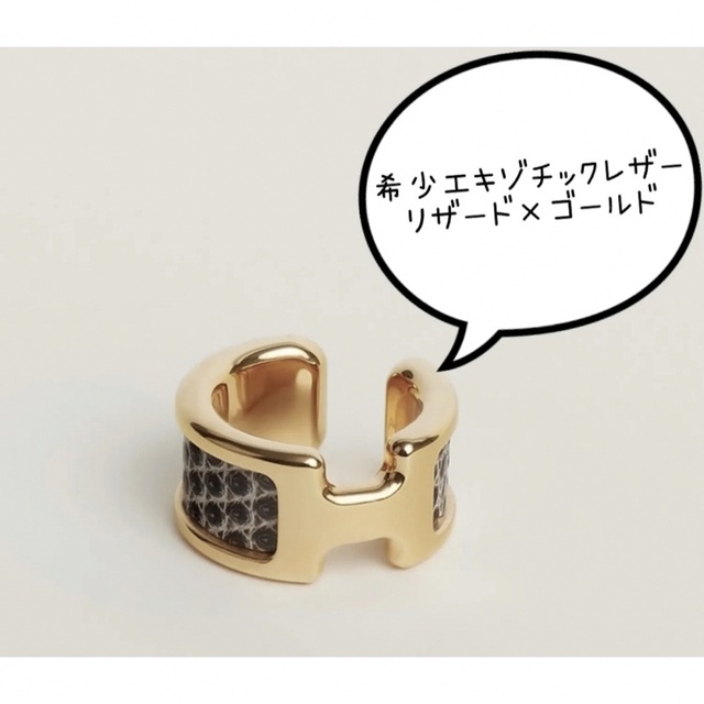 HERMESイヤーカフ Olympe PMリザード【新品未使用】 | www.innoveering.net