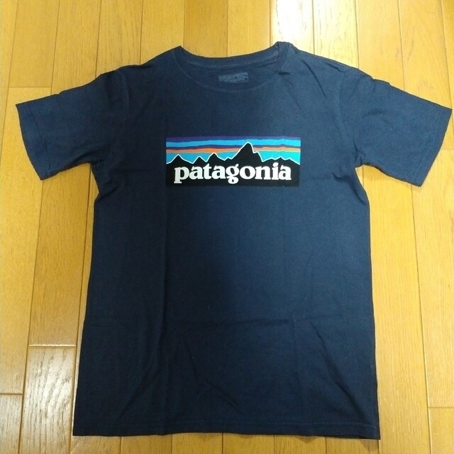 patagonia(パタゴニア)の600あ.. Patagonia 　Tシャツ レディースのトップス(Tシャツ(半袖/袖なし))の商品写真