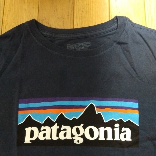 patagonia(パタゴニア)の600あ.. Patagonia 　Tシャツ レディースのトップス(Tシャツ(半袖/袖なし))の商品写真