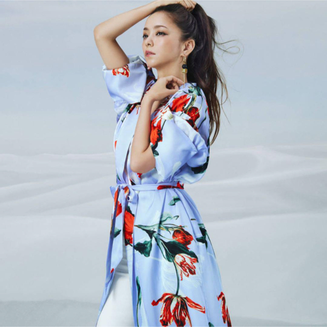 H&M(エイチアンドエム)の安室奈美恵×H&M コラボガウン レディースのワンピース(ロングワンピース/マキシワンピース)の商品写真