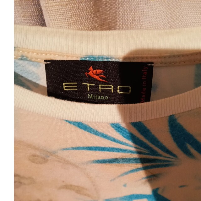 ETRO(エトロ)のボタニカル柄　ＥＴＲＯ 　BEAMS　ロンハーマン　OCEAN　DEPT メンズのトップス(Tシャツ/カットソー(半袖/袖なし))の商品写真