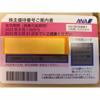 エーエヌエー(ゼンニッポンクウユ)(ANA(全日本空輸))のANA株式優待券(その他)