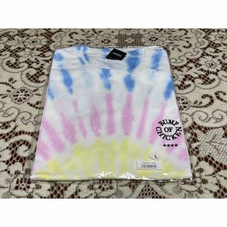 バンプオブチキン(BUMP OF CHICKEN)のBUMP OF CHICKEN [Logo TEE TIE-DYE](Tシャツ/カットソー(半袖/袖なし))