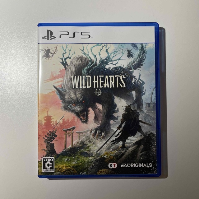 ワイルドハーツ　WILD HEARTS PS5