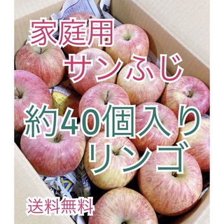 4月6日発送。会津の樹上葉取らず家庭用リンゴ約40個入り　(フルーツ)