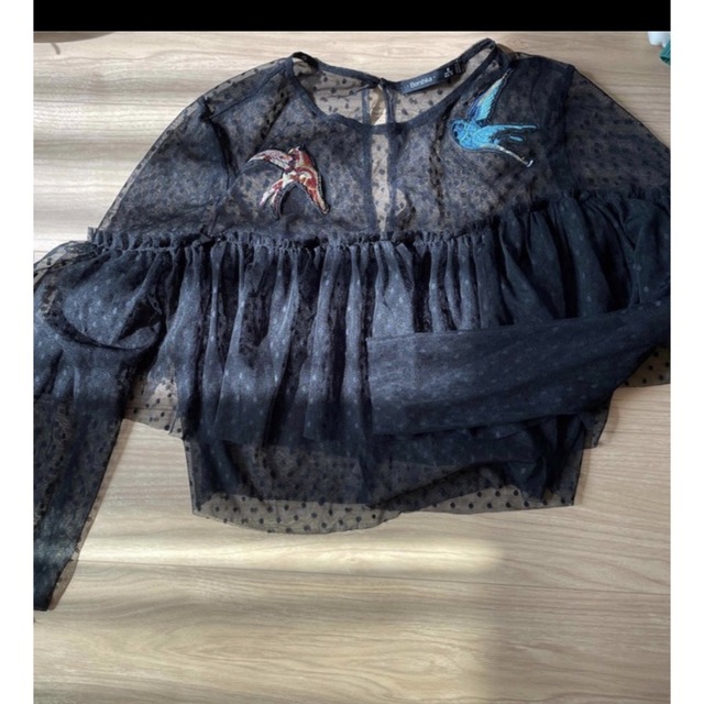 Bershka(ベルシュカ)のベルシュカレーストップス レディースのトップス(カットソー(長袖/七分))の商品写真