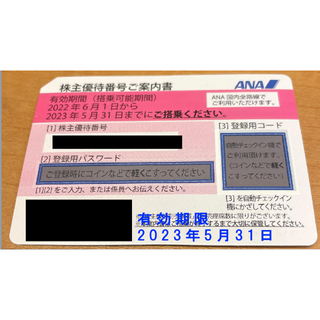 エーエヌエー(ゼンニッポンクウユ)(ANA(全日本空輸))のANA 株主優待券(～23年5月31日まで)　14枚(その他)