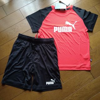 プーマ(PUMA)のプーマ　130 新品未使用　ハーフパンツ　上下セット(その他)