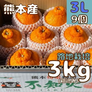 残りわずか 不知火 優良品 3L3kg(デコポン)(フルーツ)