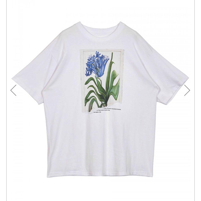 Ameri VINTAGE(アメリヴィンテージ)のDROOP FLOWER BIG TEE アメリ　アメリヴィンテージ　Tシャツ レディースのトップス(Tシャツ(半袖/袖なし))の商品写真