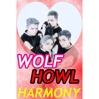 エグザイル トライブ(EXILE TRIBE)のWOLFHOWL HARMONY比嘉涼樹ネームボード両面印刷(ミュージシャン)