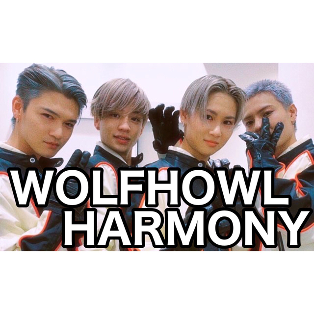 EXILE TRIBE(エグザイル トライブ)の比嘉涼樹and WOLF HOWL HARMONY両面印刷ネームボード エンタメ/ホビーのタレントグッズ(ミュージシャン)の商品写真