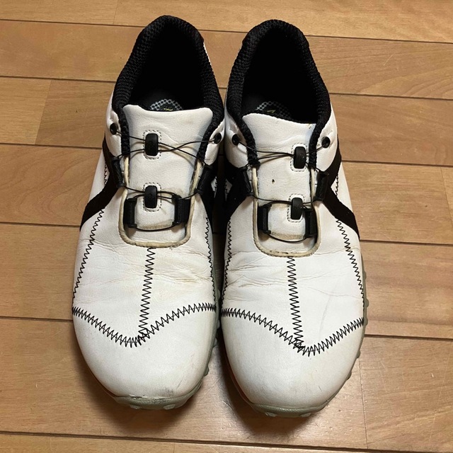 FootJoy(フットジョイ)のゴルフシューズ　FJ FootJoy 26センチ スポーツ/アウトドアのゴルフ(シューズ)の商品写真