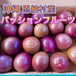 沖縄県産 無農薬 規格外品 パッションフルーツ(フルーツ)