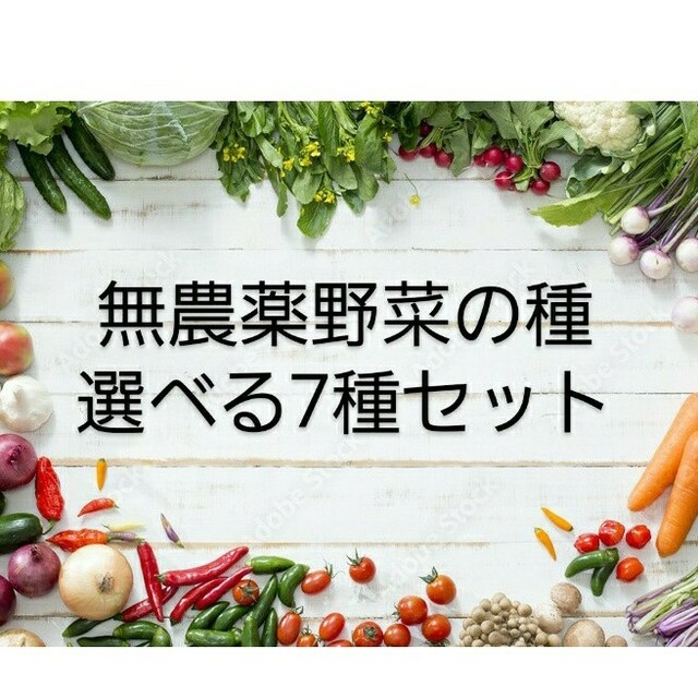 無農薬 夏野菜の種　お好きな物選り取り7種類セット　固定種 食品/飲料/酒の食品(野菜)の商品写真