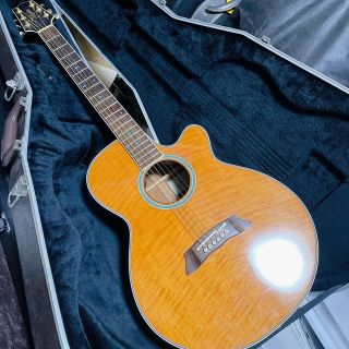 Takamine(タカミネ)PT-108 エレアコ 専用ハードケース付きの通販