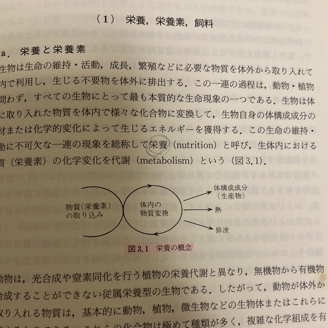 動物栄養学 エンタメ/ホビーの本(科学/技術)の商品写真