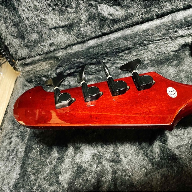 美品 Epiphone Thunderbird エピフォン サンダーバード イチオシ jakofa.hu